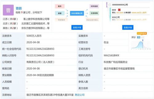 京東數(shù)科成立氫上數(shù)字科技，注冊資本5000萬元深耕信息技術(shù)咨詢服務(wù)
